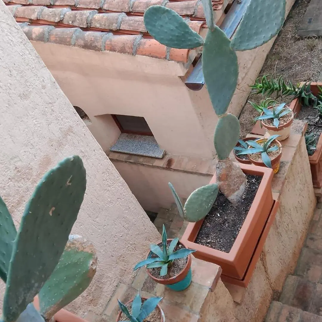 Villa Stefy Porto Taverna Cala Ghjlgolu Monte Petrosu